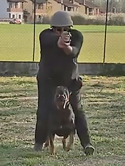 K9