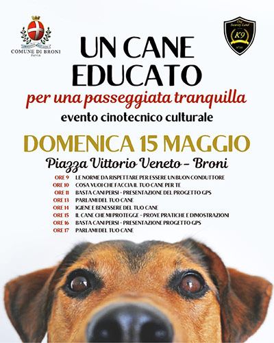 Un cane educato