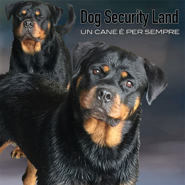 Dog Security Land