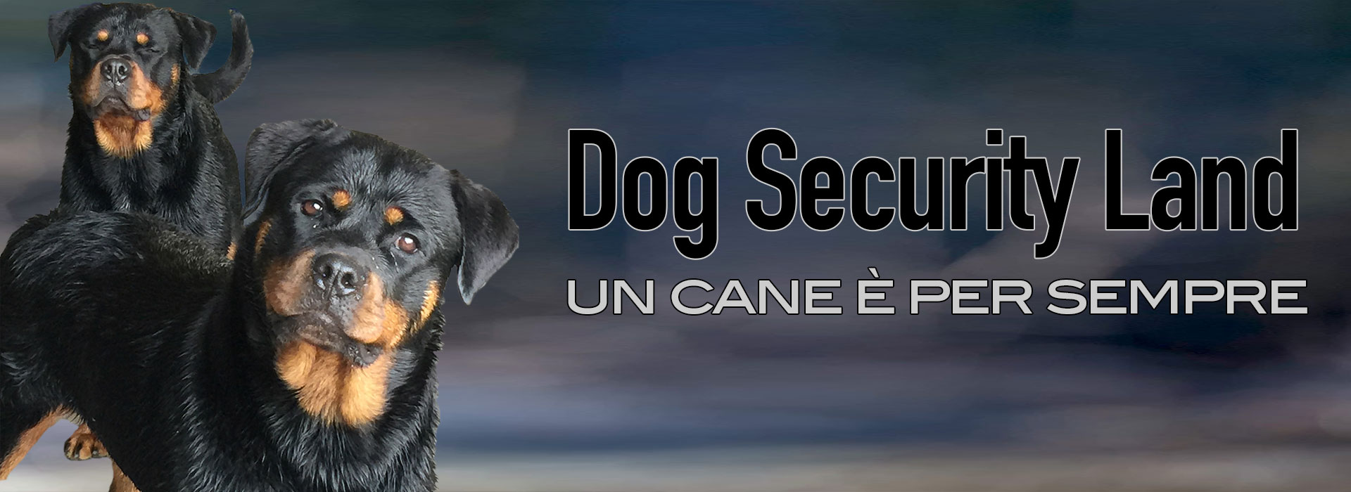 Dog Security Land